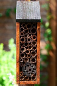 insect-house-403524_960_720